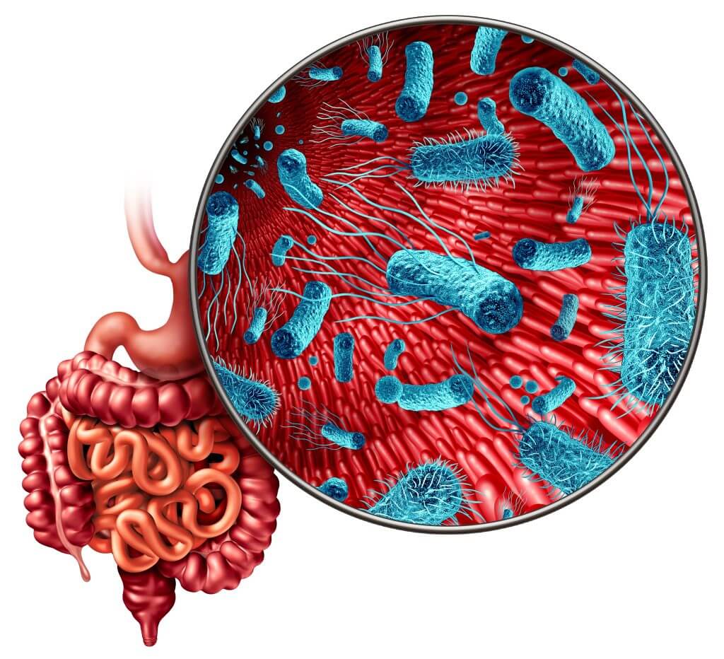 Image of gut microbiome with trillions of microorganisms that influence human health.