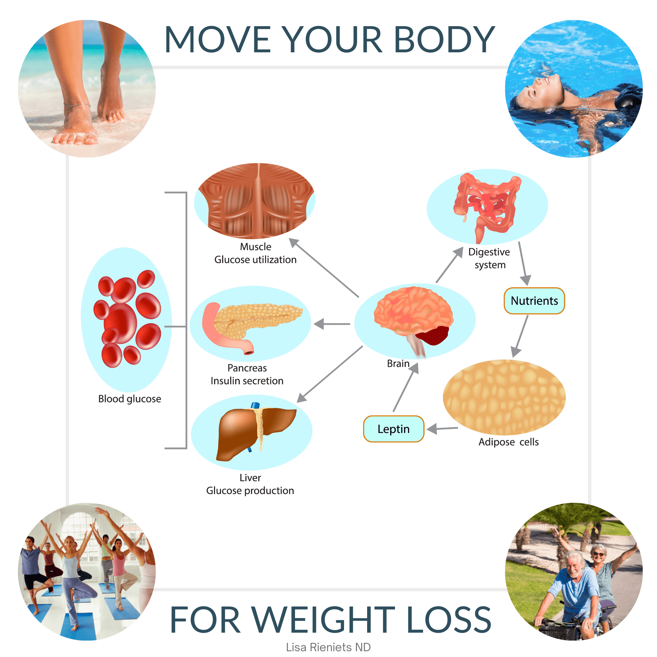 Exercise is essential in any weight loss program. Many of our organ functions, including metabolism, rely on movement for optimum performance.