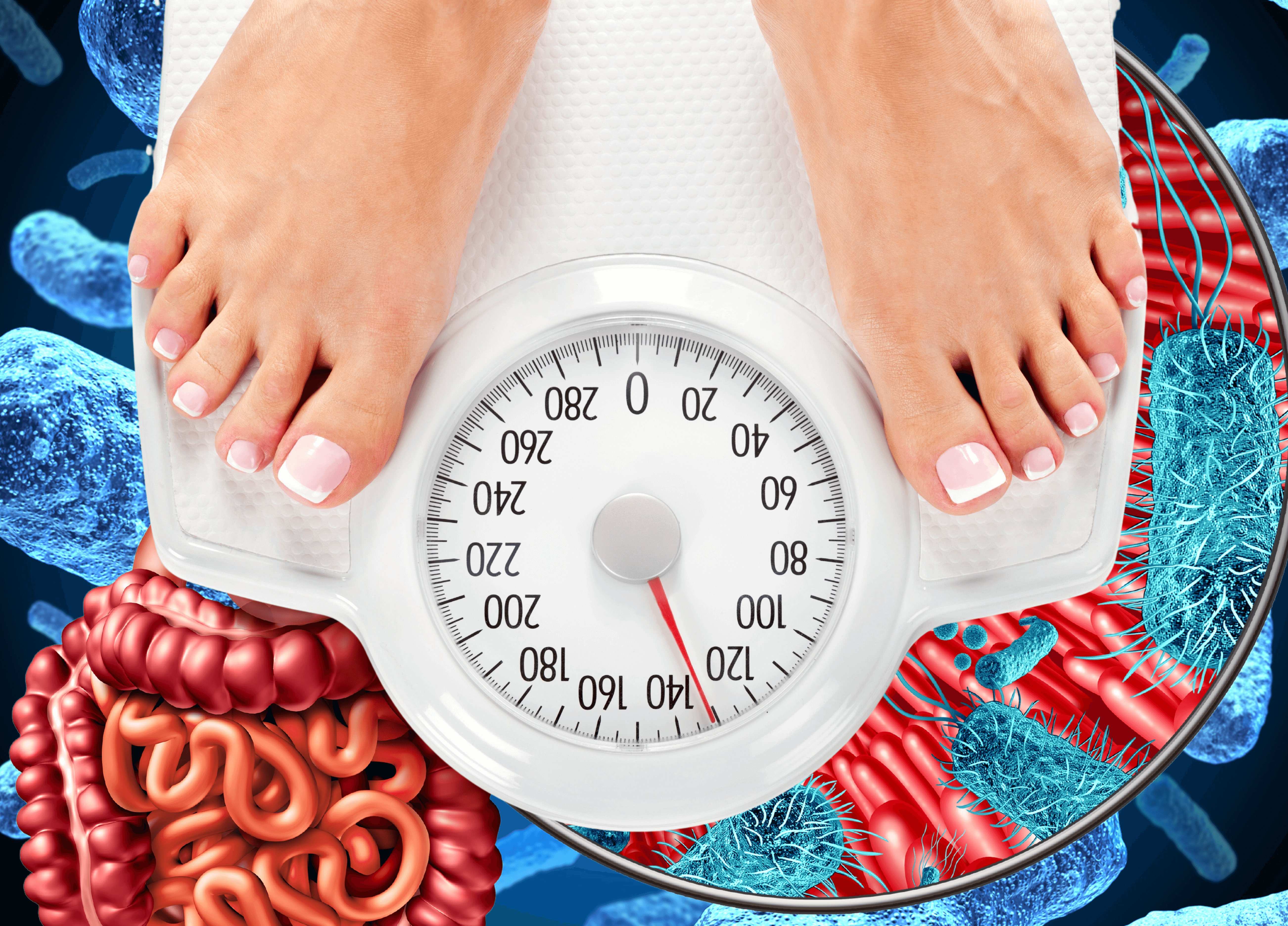 Healthy Weight Loss must also involve restoring Gut Health, Metabolic Health,and Fat Metabolism.